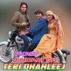 About Pyari Jindagi Su Teri Dhahleej Song